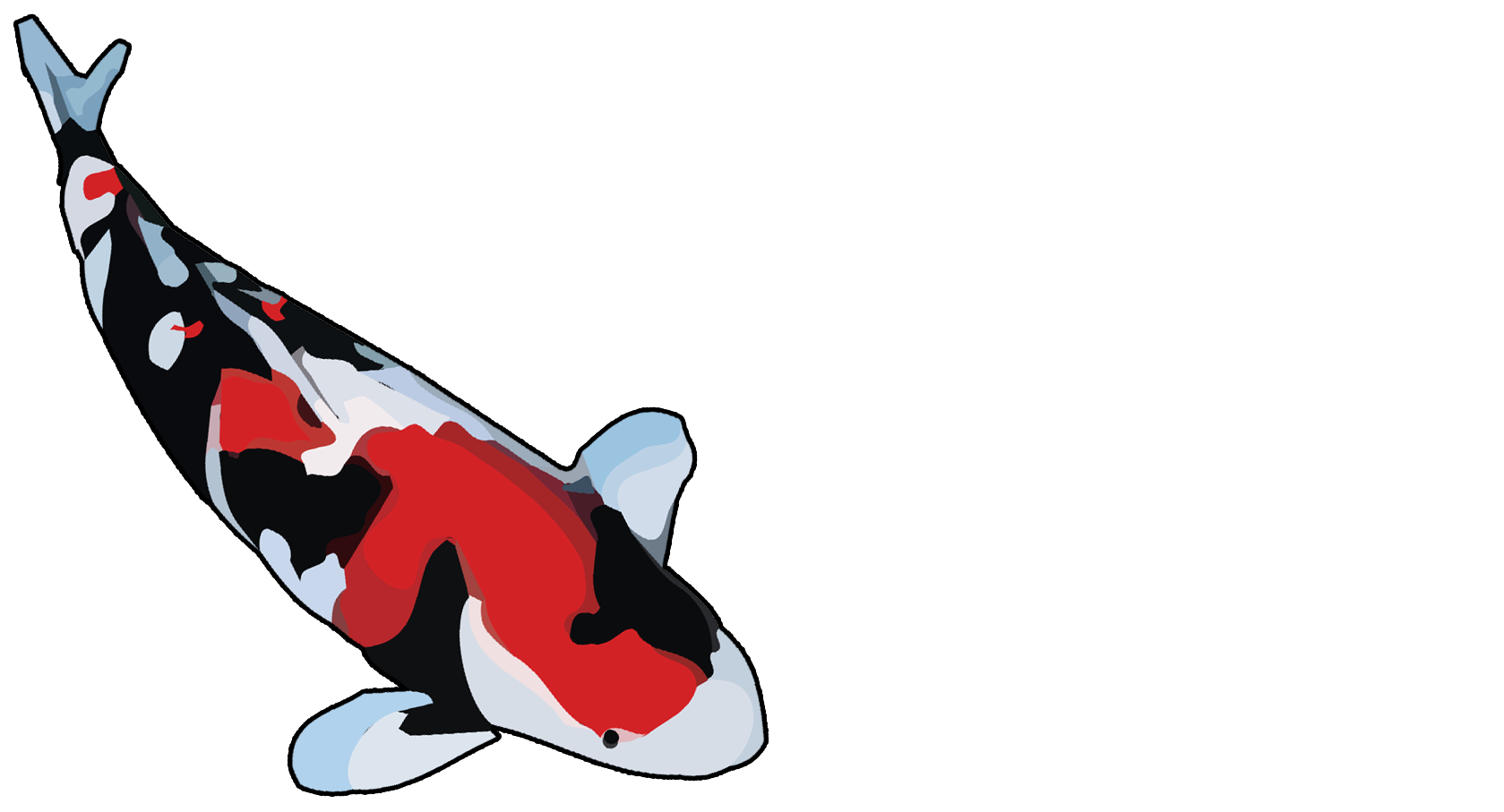 Noran Koi Farms